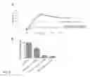 Fig. 08 - Preparation comprising factor VIII and Von Willebrand factor peptides