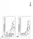 Fig. 12 - Preparation comprising factor VIII and Von Willebrand factor peptides