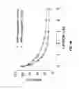 Fig. 11 - MODULATION OF FACTOR Xa INHIBITOR-MEDIATED BLOOD LOSS BY PARTIAL AND TRANSIENT ADMINISTRATION OF ANTIDOTE