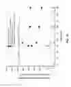 Fig. 20 - MODULATION OF FACTOR Xa INHIBITOR-MEDIATED BLOOD LOSS BY PARTIAL AND TRANSIENT ADMINISTRATION OF ANTIDOTE