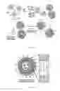 Fig. 02 - LIPID VESICLE COMPOSITIONS AND METHODS OF USE