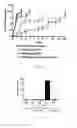 Fig. 07 - LIPID VESICLE COMPOSITIONS AND METHODS OF USE