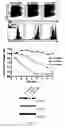 Fig. 02 - METHODS AND PHARMACEUTICAL COMPOSITIONS FOR INHIBITING LYMPHOCYTE PROLIFERATION IN A SUBJECT IN NEED THEREOF