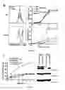 Fig. 03 - METHODS AND PHARMACEUTICAL COMPOSITIONS FOR INHIBITING LYMPHOCYTE PROLIFERATION IN A SUBJECT IN NEED THEREOF