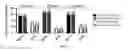 Fig. 06 - Treatment for myopathy