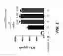 Fig. 03 - Checkpoint regulator antagonists