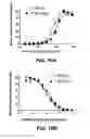 Fig. 26 - Checkpoint regulator antagonists