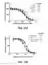 Fig. 27 - Checkpoint regulator antagonists
