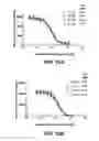 Fig. 28 - Checkpoint regulator antagonists
