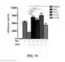 Fig. 30 - Checkpoint regulator antagonists