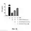 Fig. 31 - Checkpoint regulator antagonists