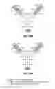 Fig. 38 - Checkpoint regulator antagonists