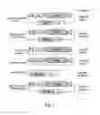 Fig. 03 - Method to achieve extended expression of DNA infused into liver