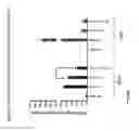 Fig. 02 - THERAPEUTIC COMPOSITIONS OF ALPHA-L-IDURONIDASE, IDURONATE-2-SULFATASE, AND ALPHA-GALACTOSIDASE A AND METHODS OF USE THEREOF