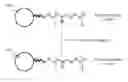 Fig. 01 - Nanoparticles functionalized with sulfur-containing polymers
