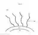 Fig. 02 - Nanoparticles functionalized with sulfur-containing polymers