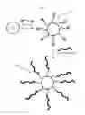 Fig. 03 - Nanoparticles functionalized with sulfur-containing polymers