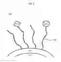 Fig. 04 - Nanoparticles functionalized with sulfur-containing polymers