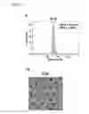 Fig. 03 - Carrier for use in delivering drug, conjugate, composition comprising same, and method for administrating same