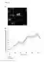 Fig. 12 - Carrier for use in delivering drug, conjugate, composition comprising same, and method for administrating same