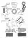 Fig. 01 - IMMOBILIZATION OF BIOMOLECULES BY SELF-ASSEMBLED NANOSTRUCTURES
