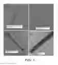 Fig. 04 - IMMOBILIZATION OF BIOMOLECULES BY SELF-ASSEMBLED NANOSTRUCTURES