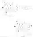 Fig. 09 - AMATOXIN-CONJUGATES WITH IMPROVED LINKAGES