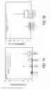 Fig. 06 - Targeted structure-specific particulate delivery systems