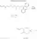 Fig. 28 - NANOPARTICLES FOR DRUG DELIVERY