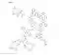Fig. 06 - COLLAGEN IMAGING COMPOSTIONS