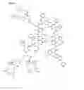 Fig. 08 - COLLAGEN IMAGING COMPOSTIONS