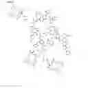 Fig. 09 - COLLAGEN IMAGING COMPOSTIONS