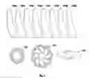 Fig. 10 - Reaction core system for photocatalytic purifiers