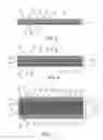 Fig. 05 - Enriched multilayer amnion derived tissue graft