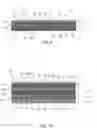 Fig. 07 - Enriched multilayer amnion derived tissue graft