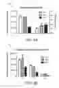 Fig. 06 - Extracellular matrix (ECM) mixture and ECM scaffolds made with same