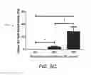 Fig. 08 - Extracellular matrix (ECM) mixture and ECM scaffolds made with same