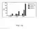 Fig. 17 - Extracellular matrix (ECM) mixture and ECM scaffolds made with same
