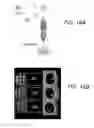 Fig. 20 - Extracellular matrix (ECM) mixture and ECM scaffolds made with same