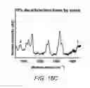 Fig. 23 - Extracellular matrix (ECM) mixture and ECM scaffolds made with same