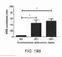 Fig. 25 - Extracellular matrix (ECM) mixture and ECM scaffolds made with same