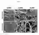 Fig. 04 - Collagen compositions and methods of use