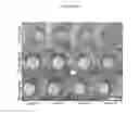 Fig. 13 - Collagen compositions and methods of use