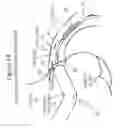 Fig. 11 - Adjustable medium diverter