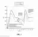 Fig. 06 - FLUID THERAPY METHOD