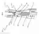 Fig. 06 - Sterile connection luer access device