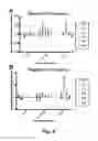 Fig. 09 - ACCESSING SPINAL NETWORK TO ENABLE RESPIRATORY FUNCTION