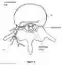 Fig. 06 - System and method of pain relief based on frequency based analysis of temporal nociceptive signals