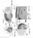 Fig. 02 - Flexible complementary metal-oxide-semiconductor probes for chronic, large-scale neural stimulation and recording