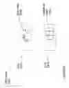 Fig. 57 - Head-worn therapy device
